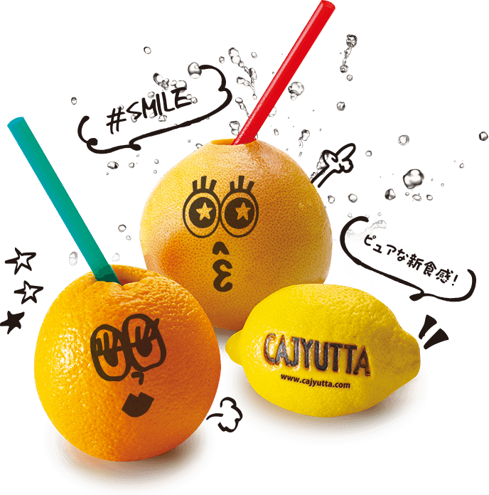 CAJYUTTA | カジュッタ公式 – グレープフルーツ生搾り機